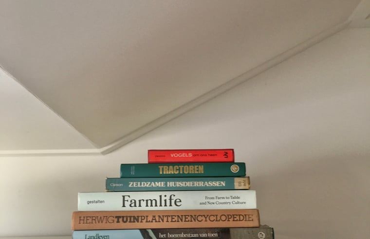 Boekenplank met diverse boeken in Vakantiehuis in Scheulder, Zuid Limburg.