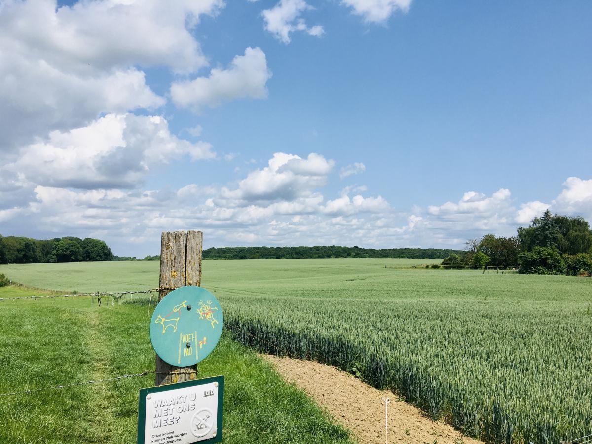 Guest house 396306 - Holiday property Zuid Limburg - Logeren bij Laura