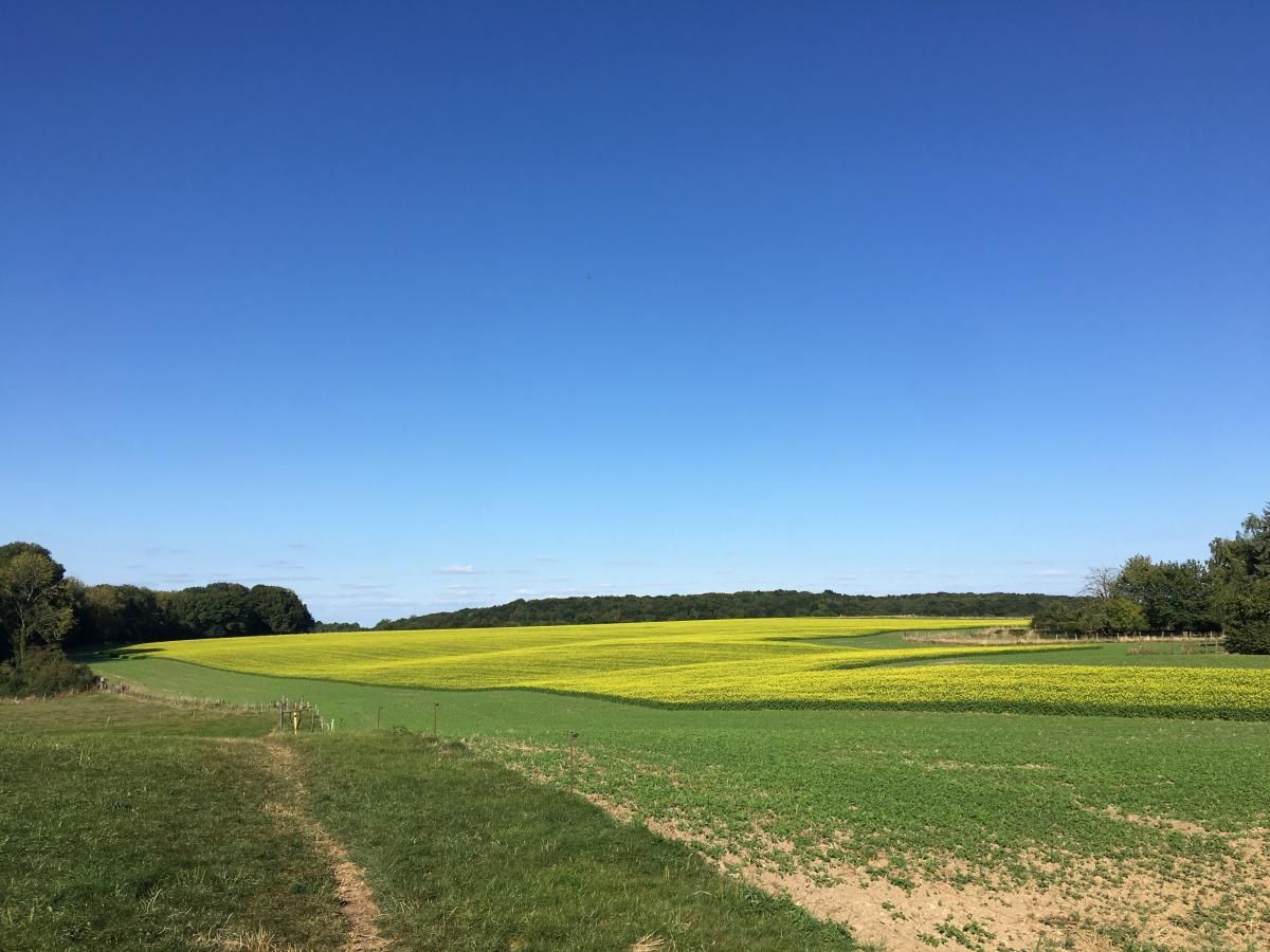 Guest house 396306 - Holiday property Zuid Limburg - Logeren bij Laura