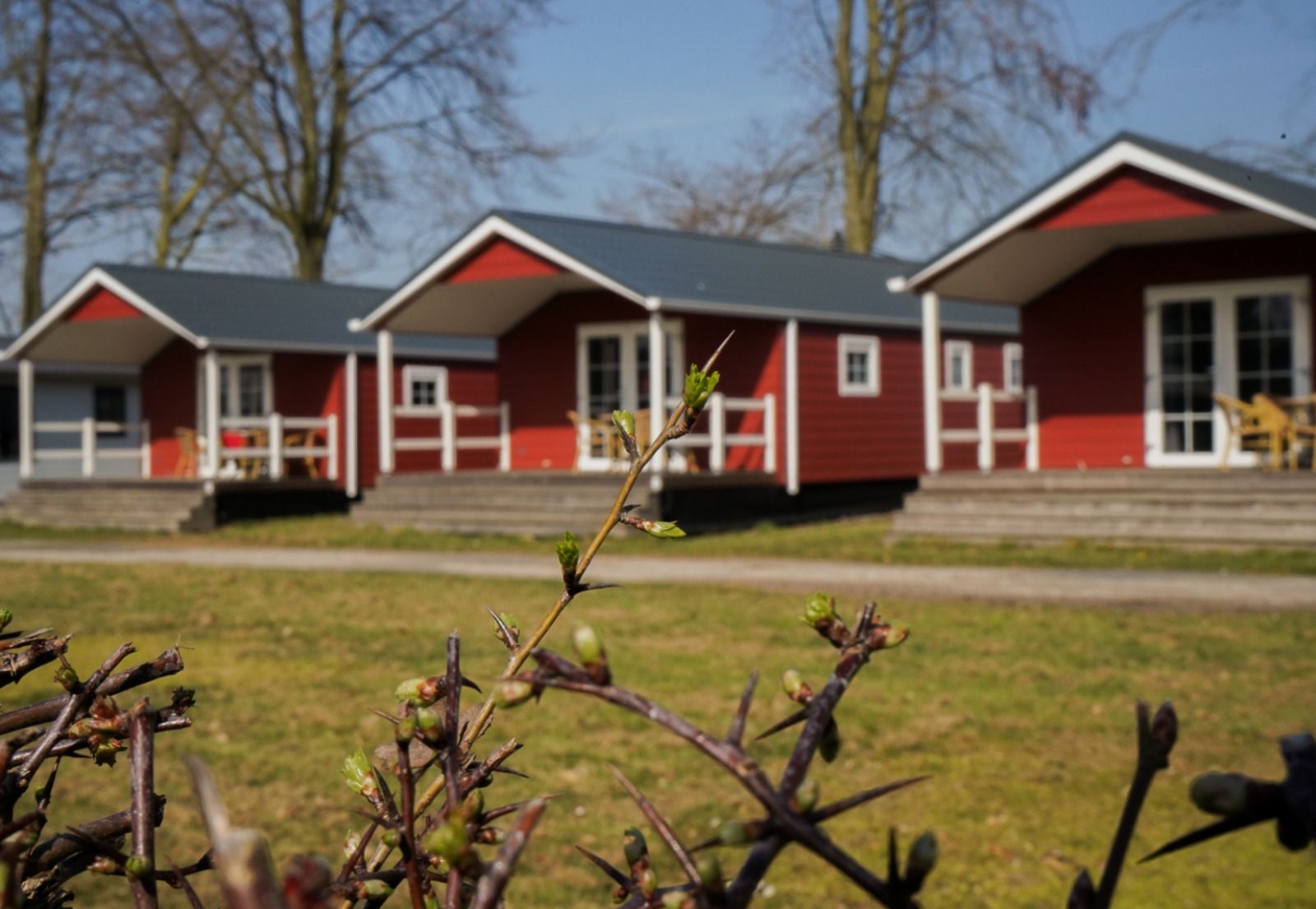 Unterkunft 396905 - Ferienhaus Zuid Limburg - Luxe chalet