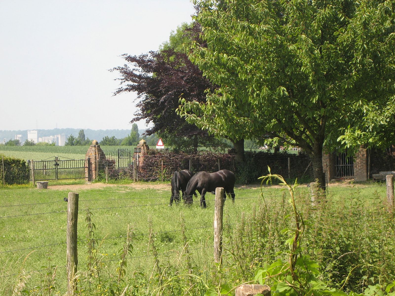 Picture 24