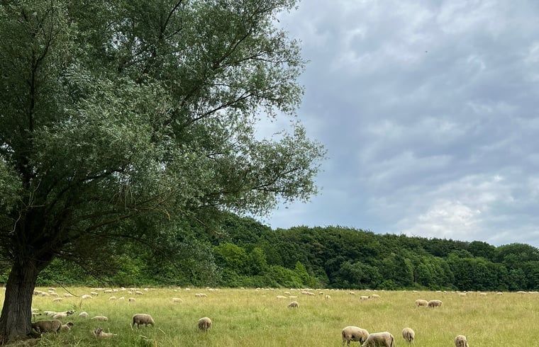 Guest house 398403 - Holiday property Zuid Limburg - Vakantiehuis in Beutenaken