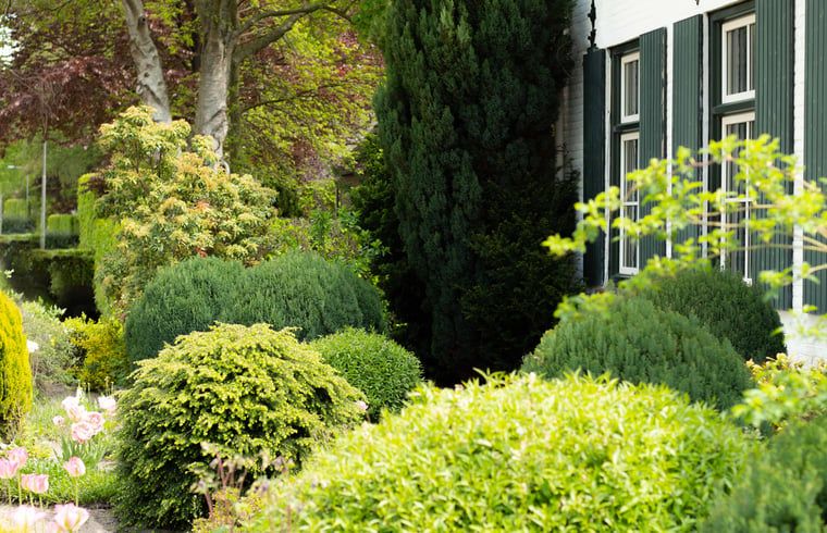 Verblijf 400205 - Vakantiewoning De Peel - Huisje in Mierlo