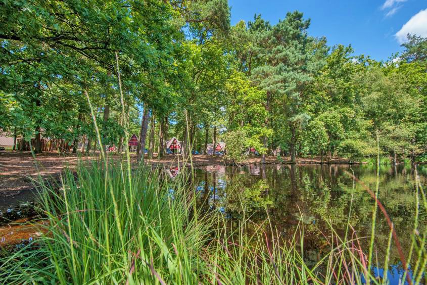 Verblijf 400226 - Vakantiewoning De Peel - Vrijstaande woning in Mierlo