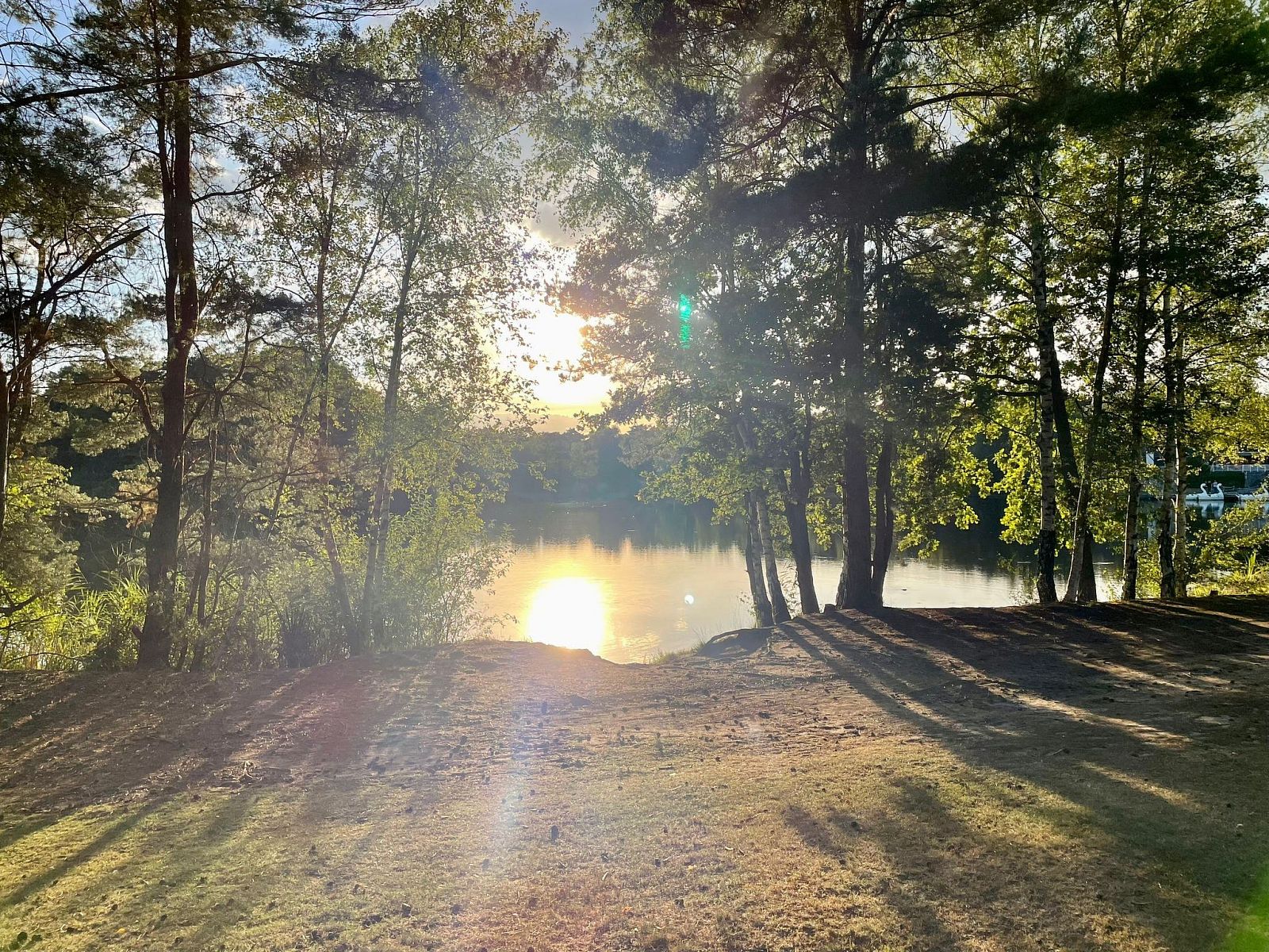 Guest house 400233 - Holiday property De Peel - Vakantiehuis BPW 1155 - Bospark Wolfsven