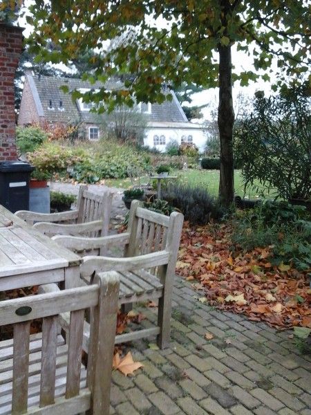 Autumnal surroundings at B&B at Kaat, Liessel, De Peel, with a charming terrace and natural splendor.