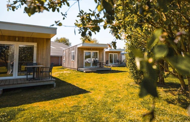 Unterkunft 400510 - Ferienhaus De Peel - Huisje in Asten