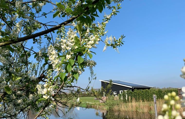 Seitenansicht des Ferienhauses in Venhorst, De Peel, Nordbrabant.