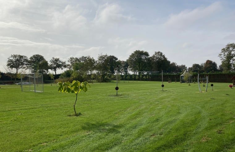 Ausgedehnter Rasen im Ferienhaus in Venhorst, De Peel, Nordbrabant.
