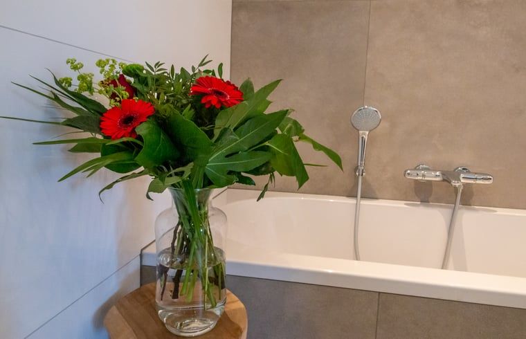 Unterkunft 401002 - Ferienhaus De Peel - Huisje in Gassel