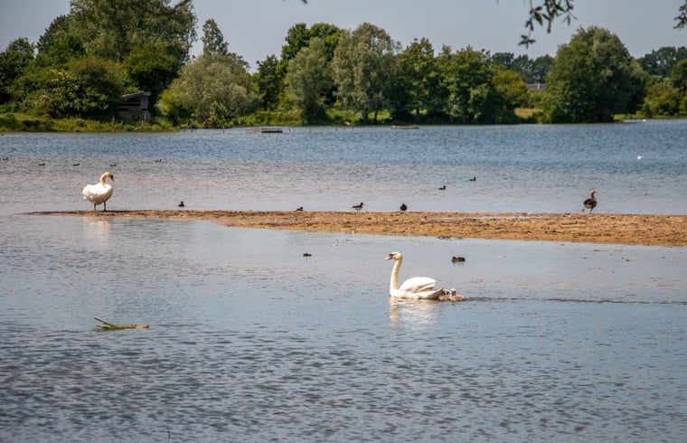 Unterkunft 401002 - Ferienhaus De Peel - Huisje in Gassel
