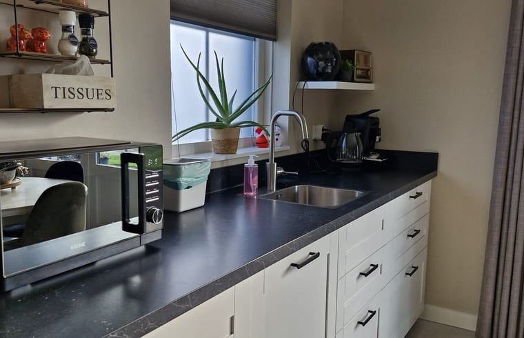 Stylish toilet room in Cottage in Zeeland with modern finishes, located in De Peel, North Brabant.