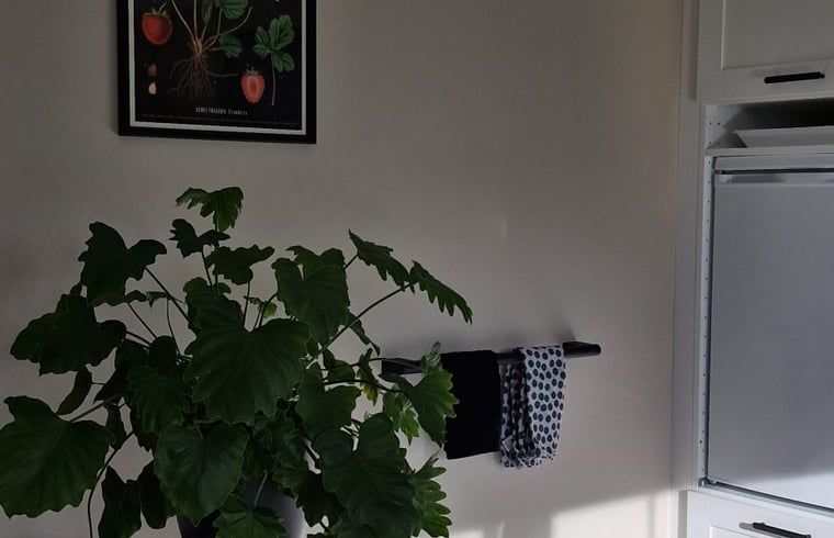 Spacious bathroom with walk-in shower in Huisje in Zeeland, a comfortable vacation home in De Peel, North Brabant.