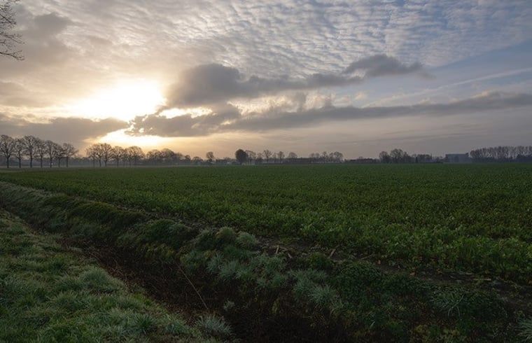 Friedliche Felder bei Sonnenaufgang am Ferienhaus in Deurne, De Peel, Nordbrabant.