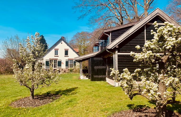 Vakantieverblijf in De Rips, Noord Brabant, met bloeiende bomen en serene omgeving.