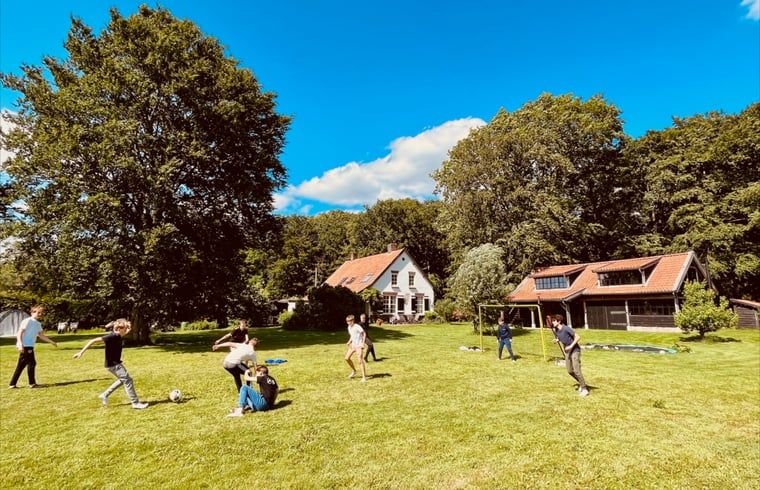 Groep geniet van activiteiten op het grasveld bij Vakantiehuis in De Rips.