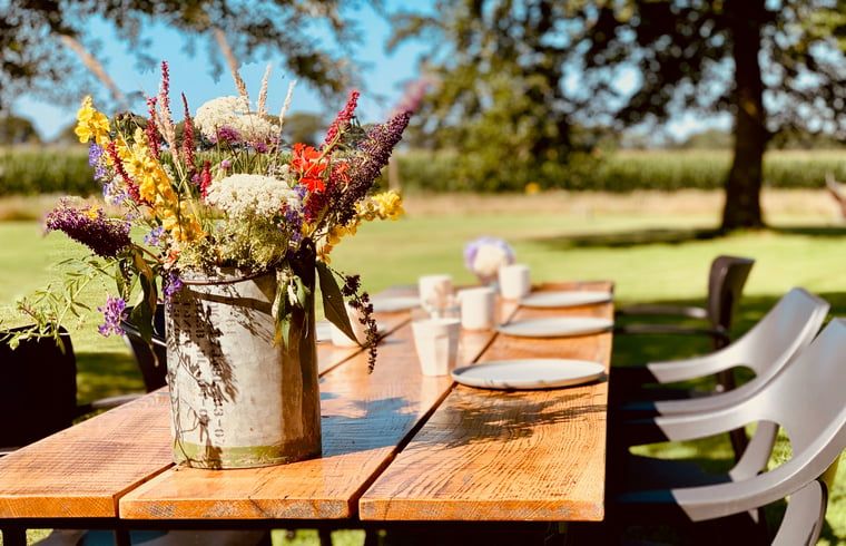 Buiten dineren bij Vakantiehuis in De Rips, Noord Brabant, met kleurrijke bloemen.