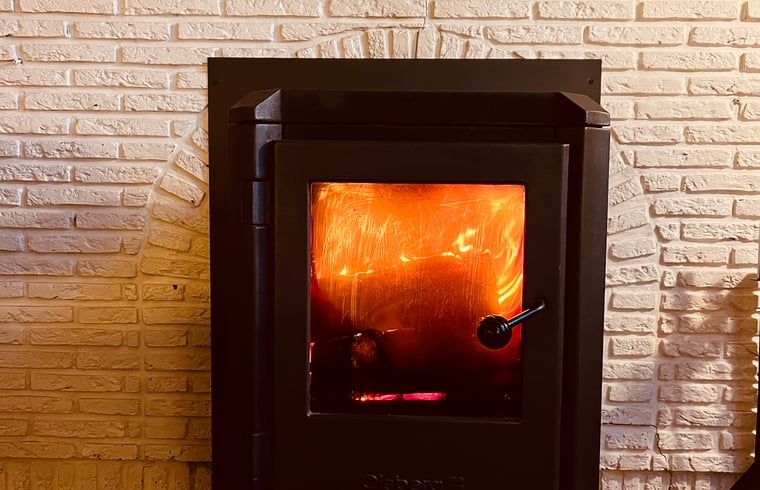 Warme open haard in Vakantiehuis in De Rips, De Peel, voor knusse avonden.