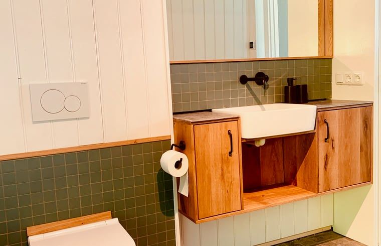 Stijlvolle badkamerinrichting in Vakantiehuis in De Rips, Noord Brabant.