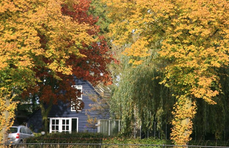 Herfstkleuren omringen Vakantiehuis in Budel, sfeervolle vakantiewoning in Kempen, Noord Brabant.