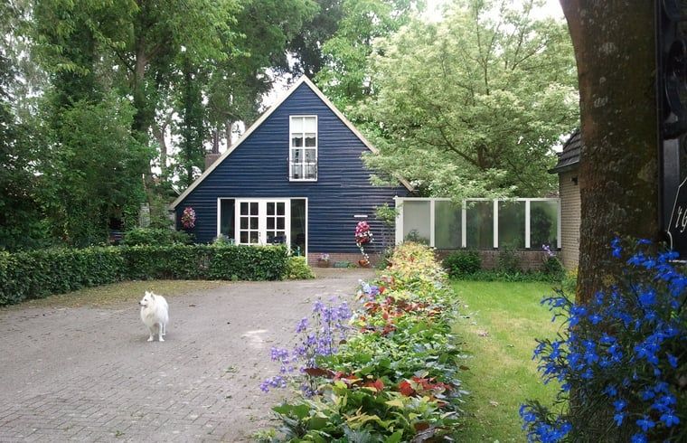 Vakantiehuis in Budel met oprijlaan en bloeiende tuin in Kempen, Noord Brabant.