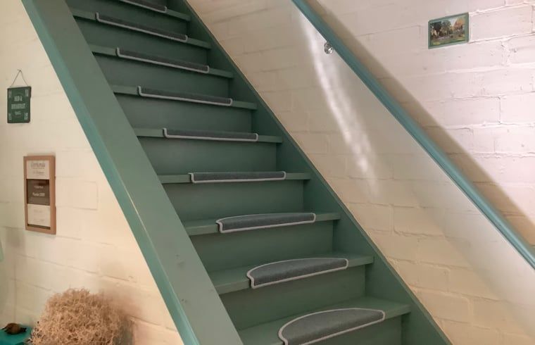 Trap naar bovenverdieping in Vakantiehuis in Budel, een charmant verblijf in Kempen, Noord Brabant.