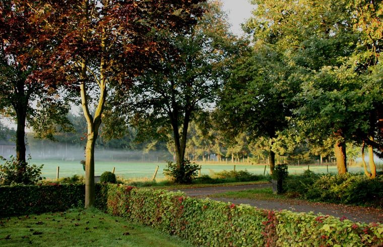 Prachtig uitzicht vanuit Vakantiehuis in Budel, omringd door groene natuur in Kempen, Noord Brabant.