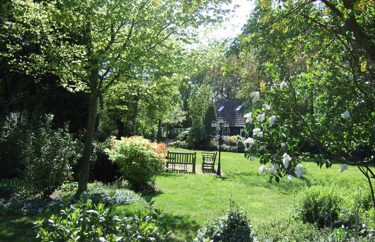 Zonnige tuin bij Vakantiehuis in Budel, ideaal voor ontspanning in Kempen, Noord Brabant.