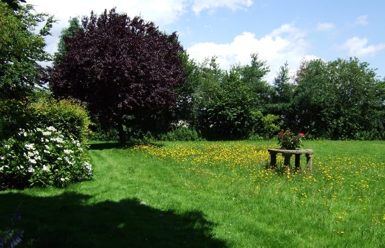 Ruime tuin met bloemen bij Vakantiehuis in Budel, perfect voor buitenactiviteiten in Kempen, Noord Brabant.