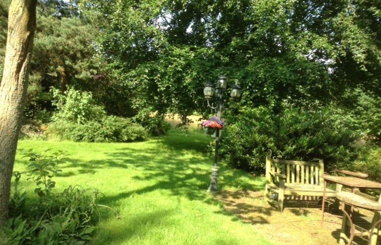 Schaduwrijke tuin bij Vakantiehuis in Budel, ideaal voor rust in Kempen, Noord Brabant.