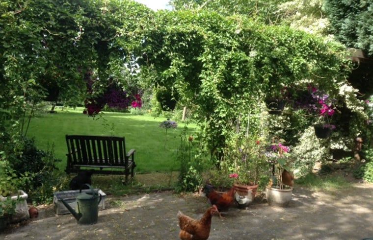 Vrijlopende kippen in de tuin van Vakantiehuis in Budel, landelijke charme in Kempen, Noord Brabant.