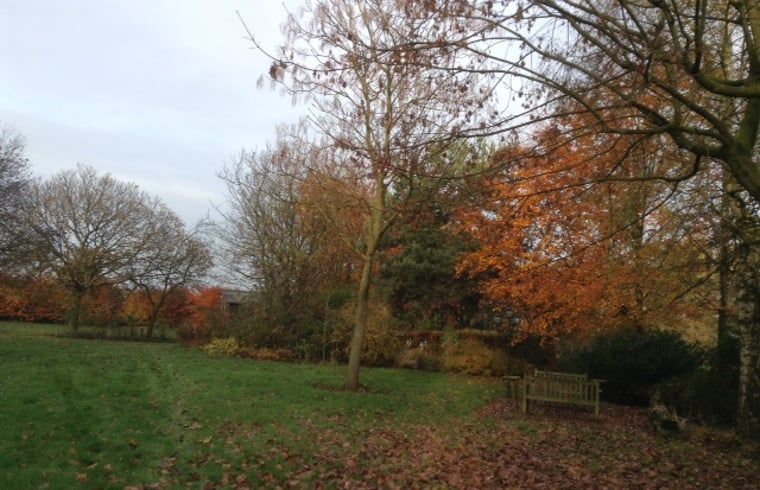 Herfstlandschap rondom Vakantiehuis in Budel, prachtige omgeving in Kempen, Noord Brabant.