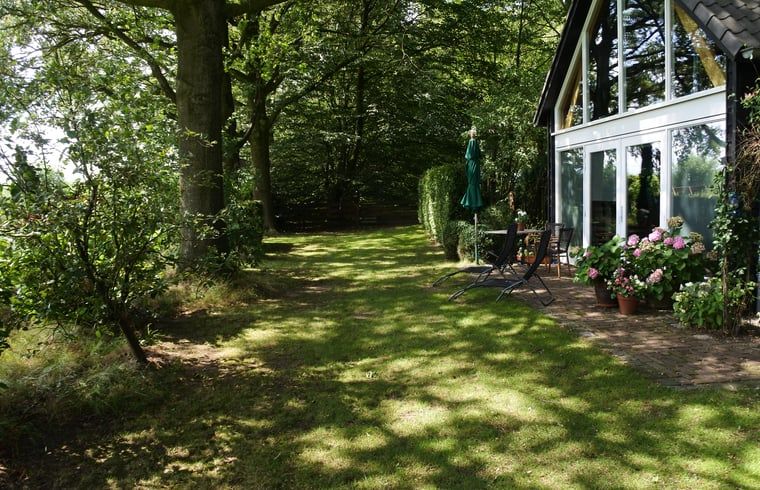 Groene tuin bij Vakantiehuisje in Lage Mierde, perfect voor ontspanning in de natuur van de Kempen, Noord Brabant.