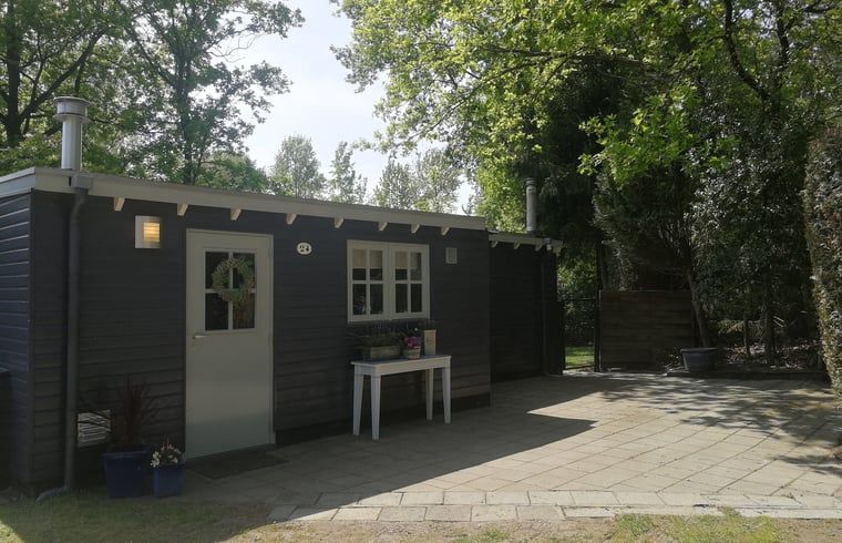 Huisje in Lage Mierde met zonnig terras, vakantiehuis in de Kempen, Noord Brabant.