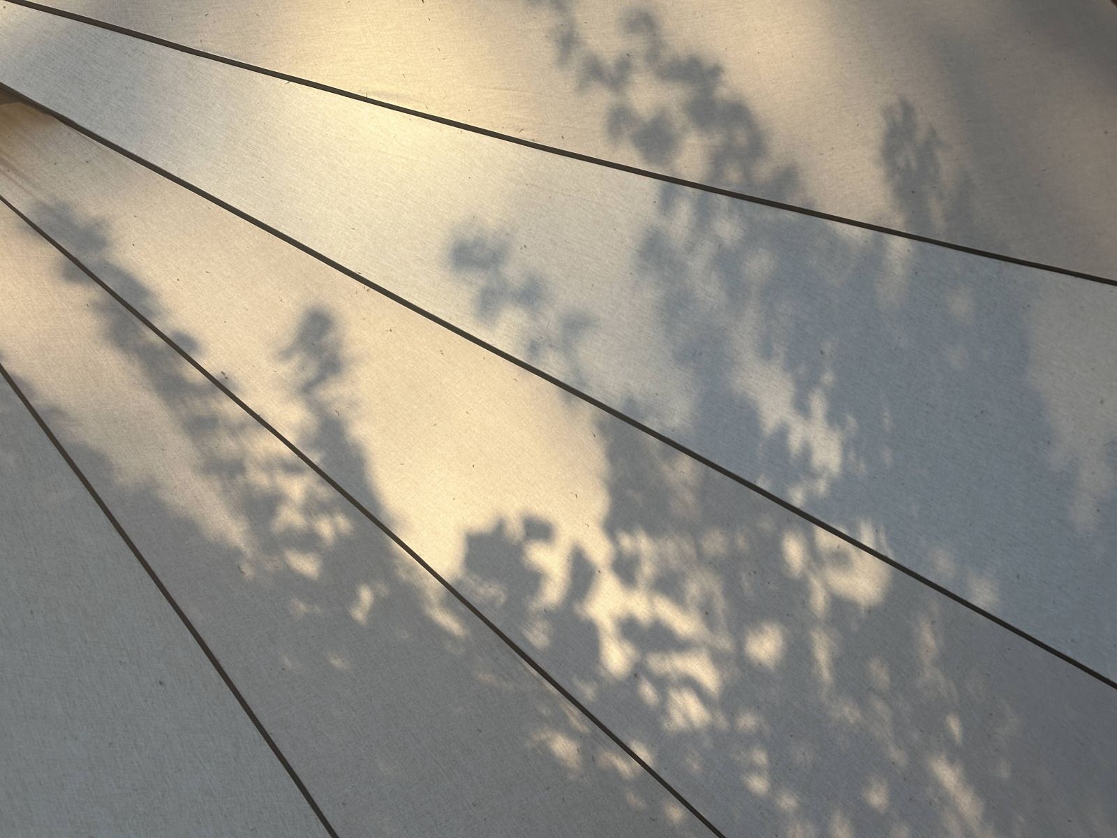 Verblijf 410516 - Tenthuis Kempen - Bell tent