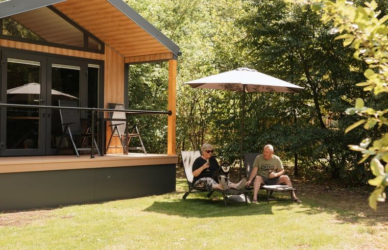 Geniessen Sie die Veranda des Huisje in Bergeijk, Ferienhaus im gruenen Kempen, Nordbrabant.