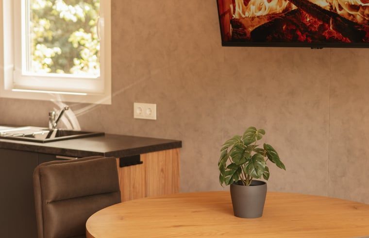 Unterkunft 410519 - Ferienhaus Kempen - Huisje in Bergeijk