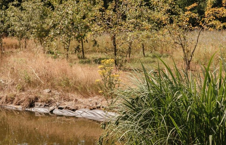Unterkunft 410519 - Ferienhaus Kempen - Huisje in Bergeijk