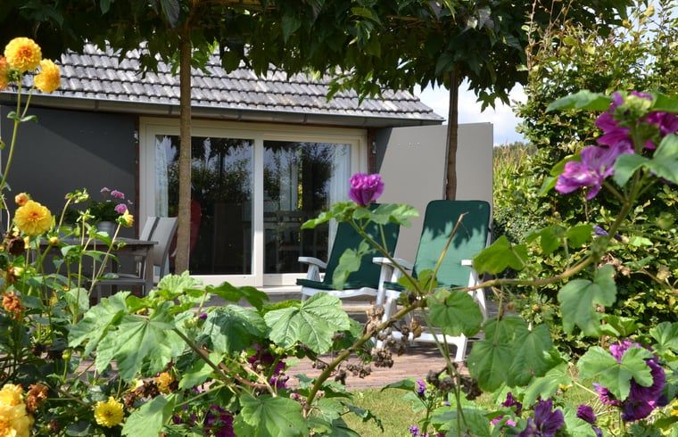 Ontspan op de veranda van Huisje in Baarle-Nassau, vakantiehuis in Noord Brabant, omringd door kleurrijke bloemen.