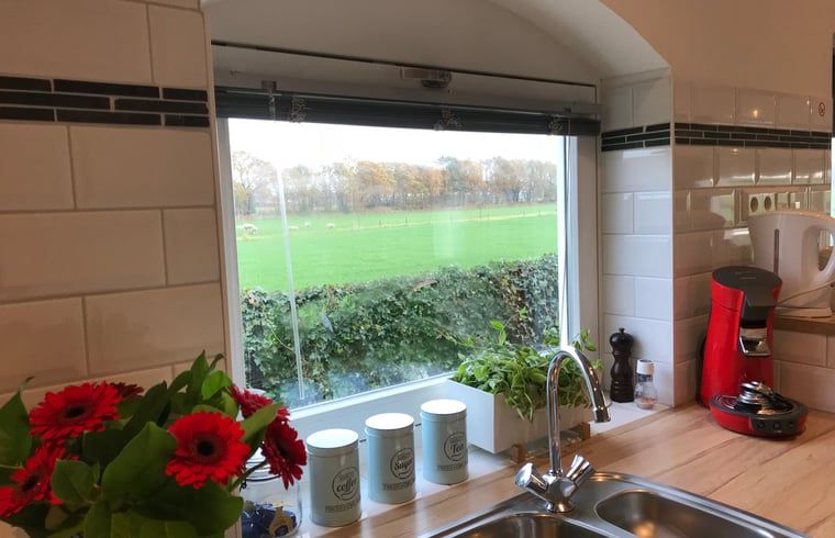 Keukenraam met uitzicht op groene velden bij Huisje in Baarle-Nassau, vakantiewoning in Kempen.