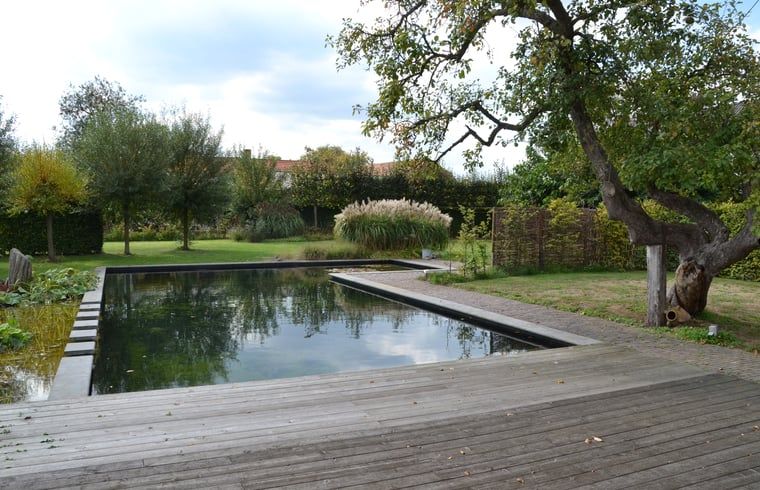 Grote zwemvijver in de tuin van Huisje in Baarle-Nassau, vakantiewoning in Kempen, omringd door groen.
