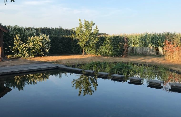 Zwemvijver in de avondzon bij Huisje in Baarle-Nassau, vakantiewoning in Kempen.