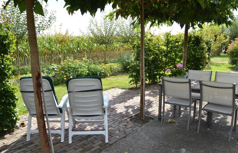 Tuin met ligstoelen bij Huisje in Baarle-Nassau, vakantiehuis in Noord Brabant, omgeven door groen.