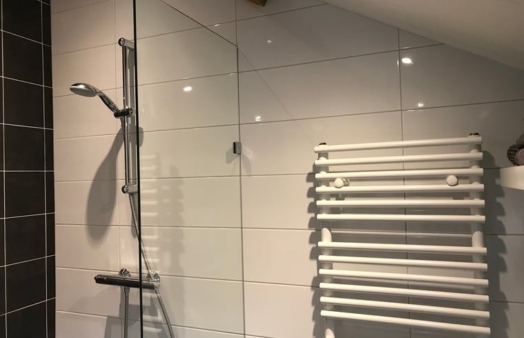 Stijlvolle badkamer met regendouche in Huisje in Baarle-Nassau, vakantiewoning in Kempen.