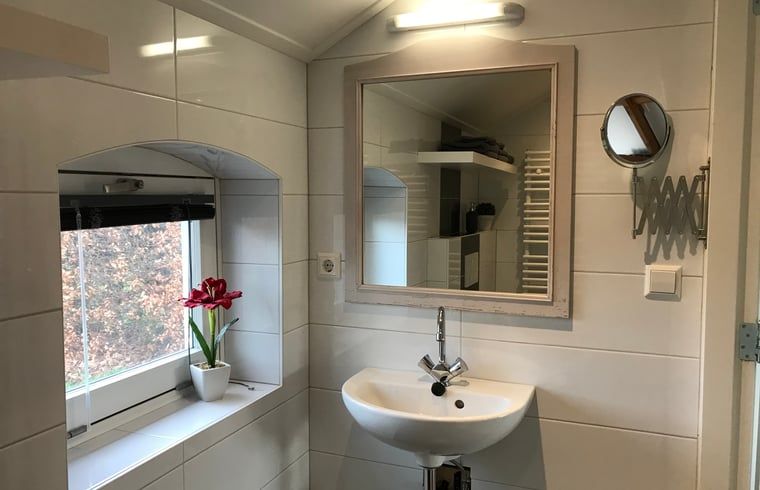 Stijlvolle badkamer met wastafel in Huisje in Baarle-Nassau, vakantiewoning in Kempen.