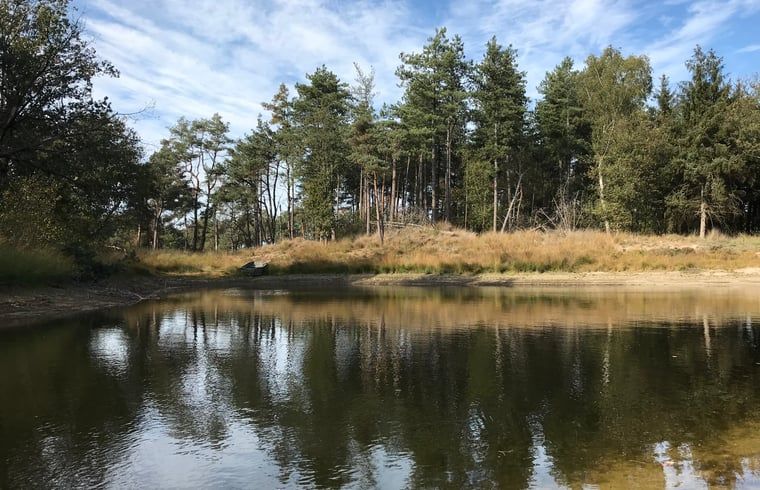 Natuurgebied nabij Huisje in Baarle-Nassau, vakantiehuis in Noord Brabant, ideaal voor wandelingen.