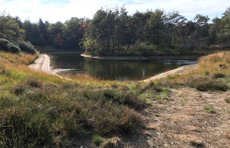Natuerliche Umgebung im Ferienhaus in Baarle Nassau, entdecken Sie die Waelder von Kempen, Nordbrabant.