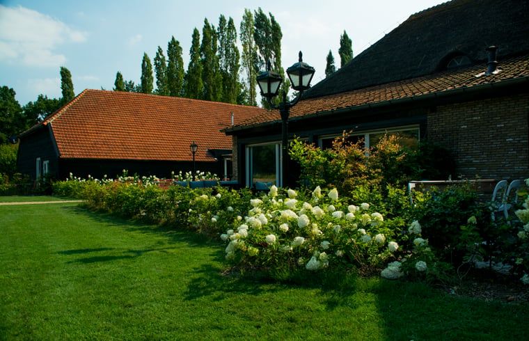 Bluehender Garten im Cottage in Baarle-Nassau, Ferienunterkunft im gruenen Kempen.
