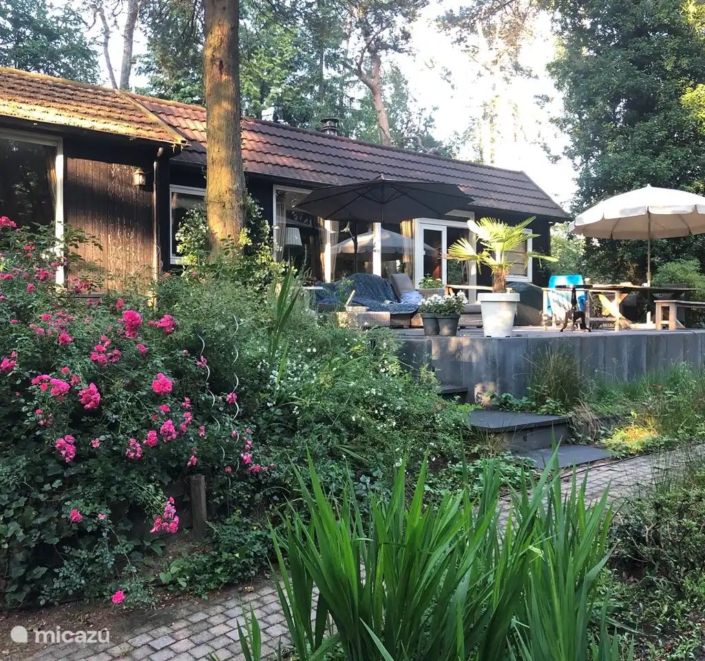 Unterkunft 410845 - Ferienhaus Kempen - Vrijstaand boshuis