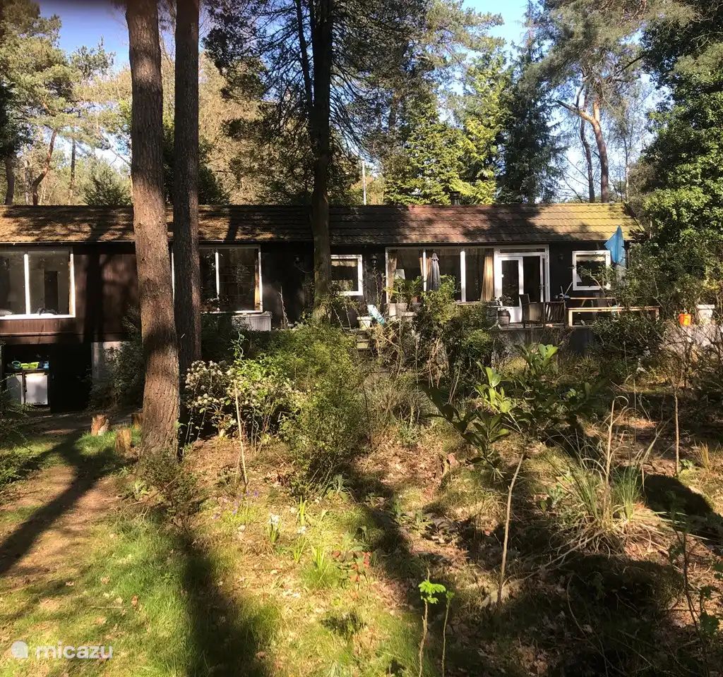 Unterkunft 410845 - Ferienhaus Kempen - Vrijstaand boshuis